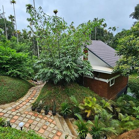 Casta Wild Resort Batheri 외부 사진