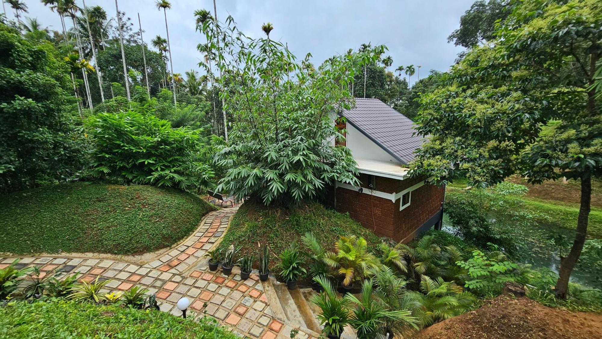 Casta Wild Resort Batheri 외부 사진