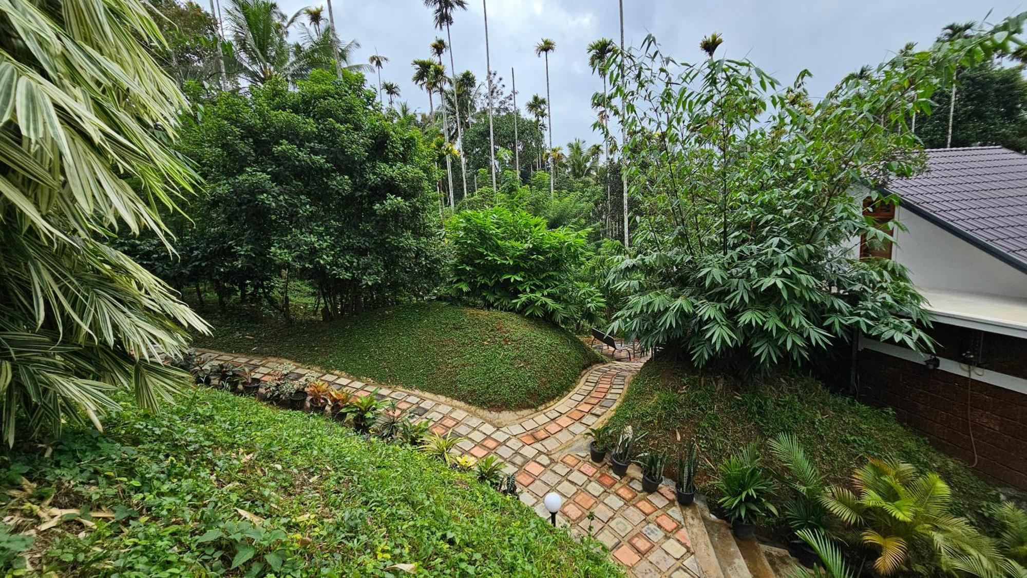 Casta Wild Resort Batheri 외부 사진