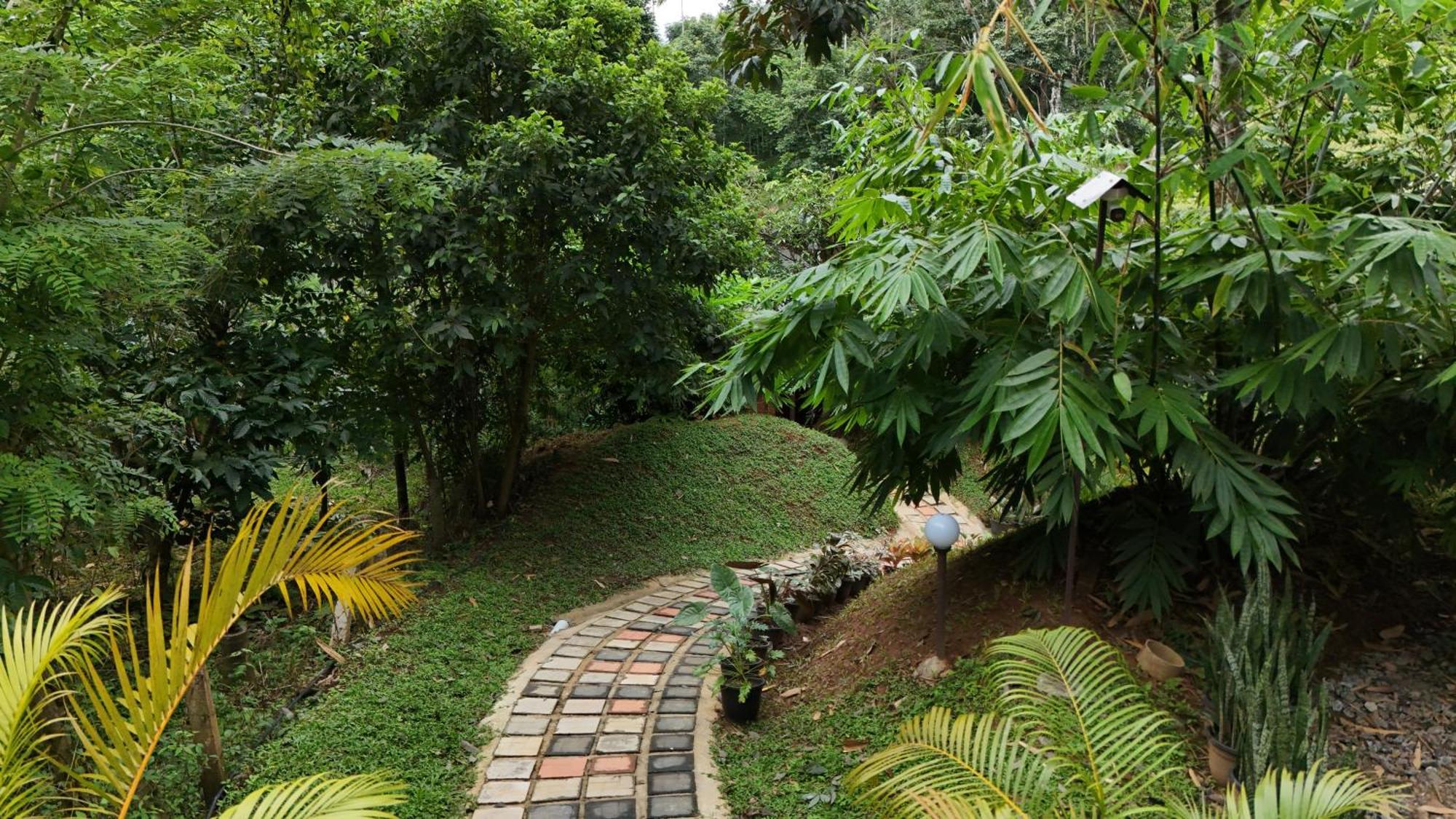 Casta Wild Resort Batheri 외부 사진